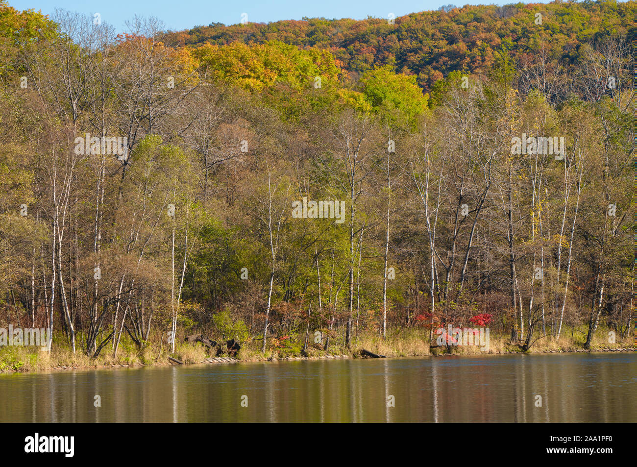 Autumn foliage and Lake Stock Photo - Alamy