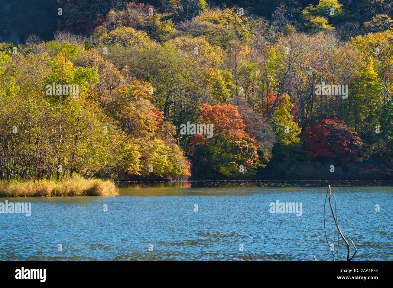 Autumn foliage and Lake Stock Photo - Alamy