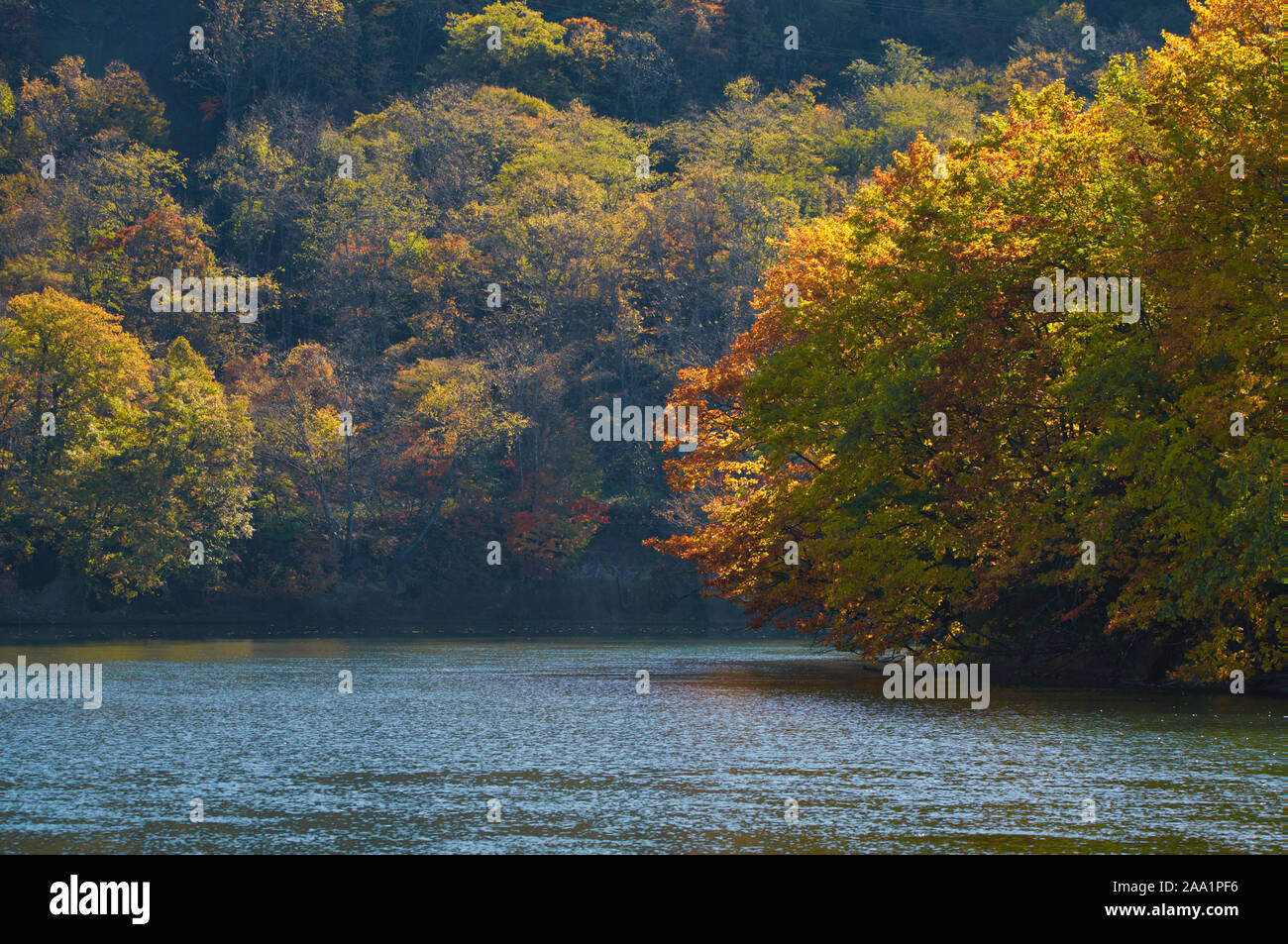Autumn foliage and Lake Stock Photo - Alamy