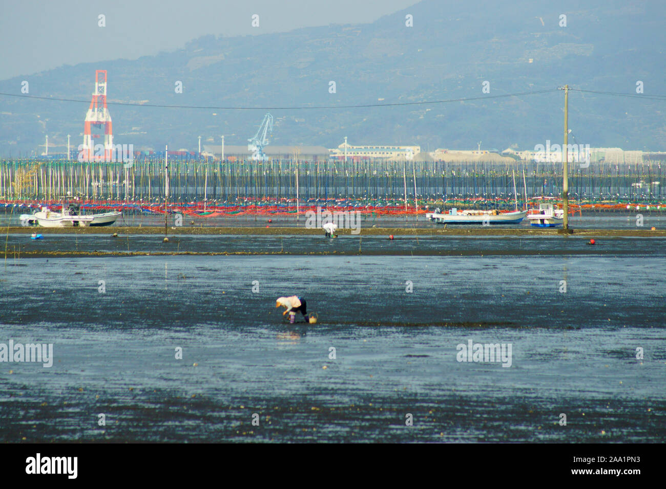 Clam digging hires stock photography and images Alamy