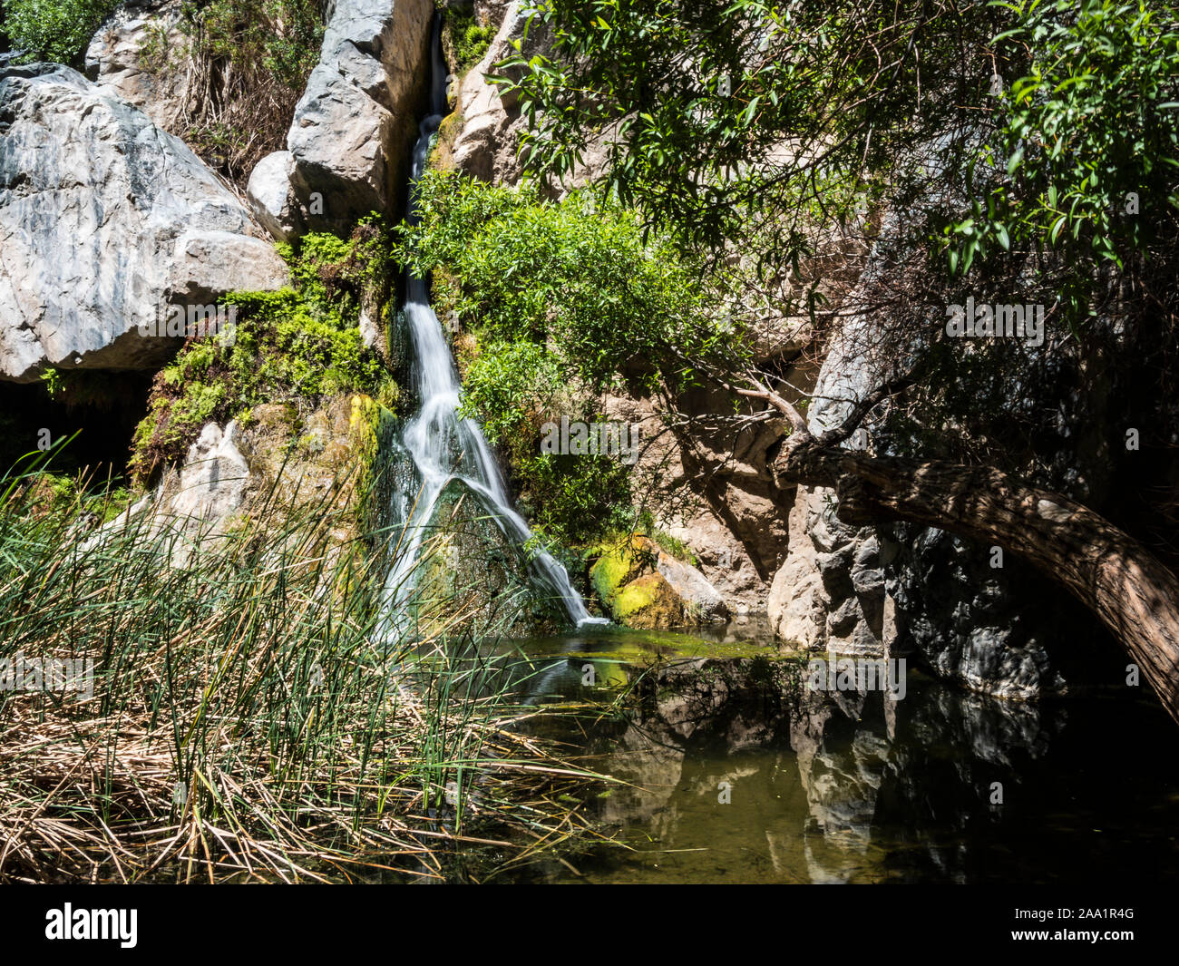 death valley darwin falls Stock Photo - Alamy