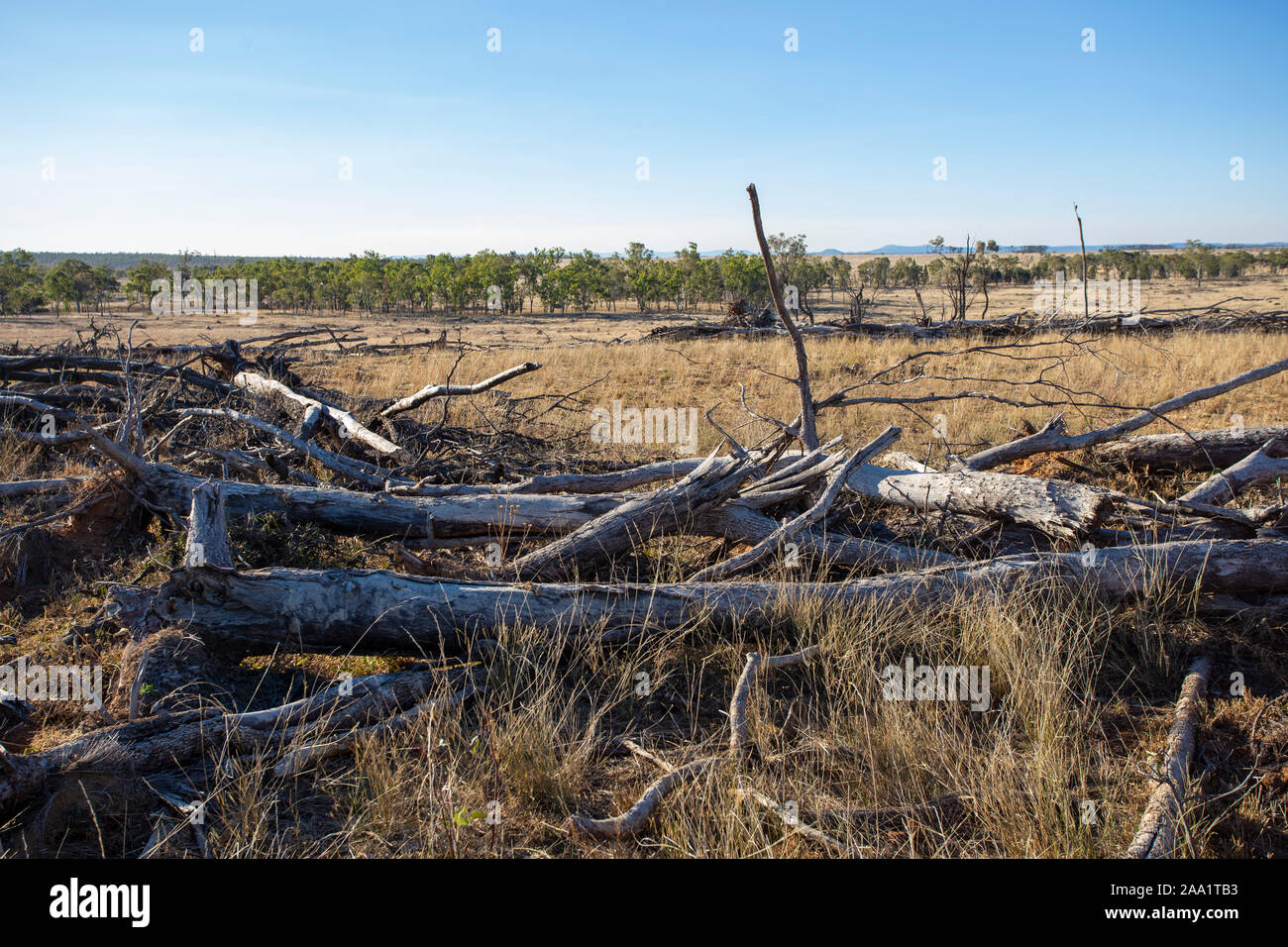 View of land recently cleared of trees, highlighting deforestation in Queensland, Australia Stock Photo