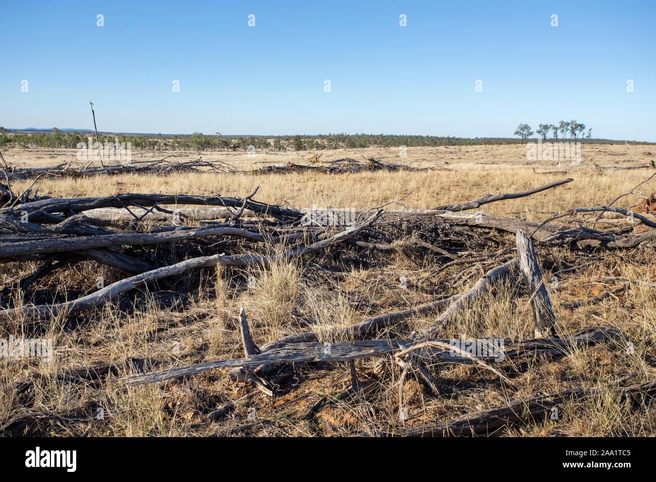 View of land recently cleared of trees, highlighting deforestation in Queensland, Australia Stock Photo