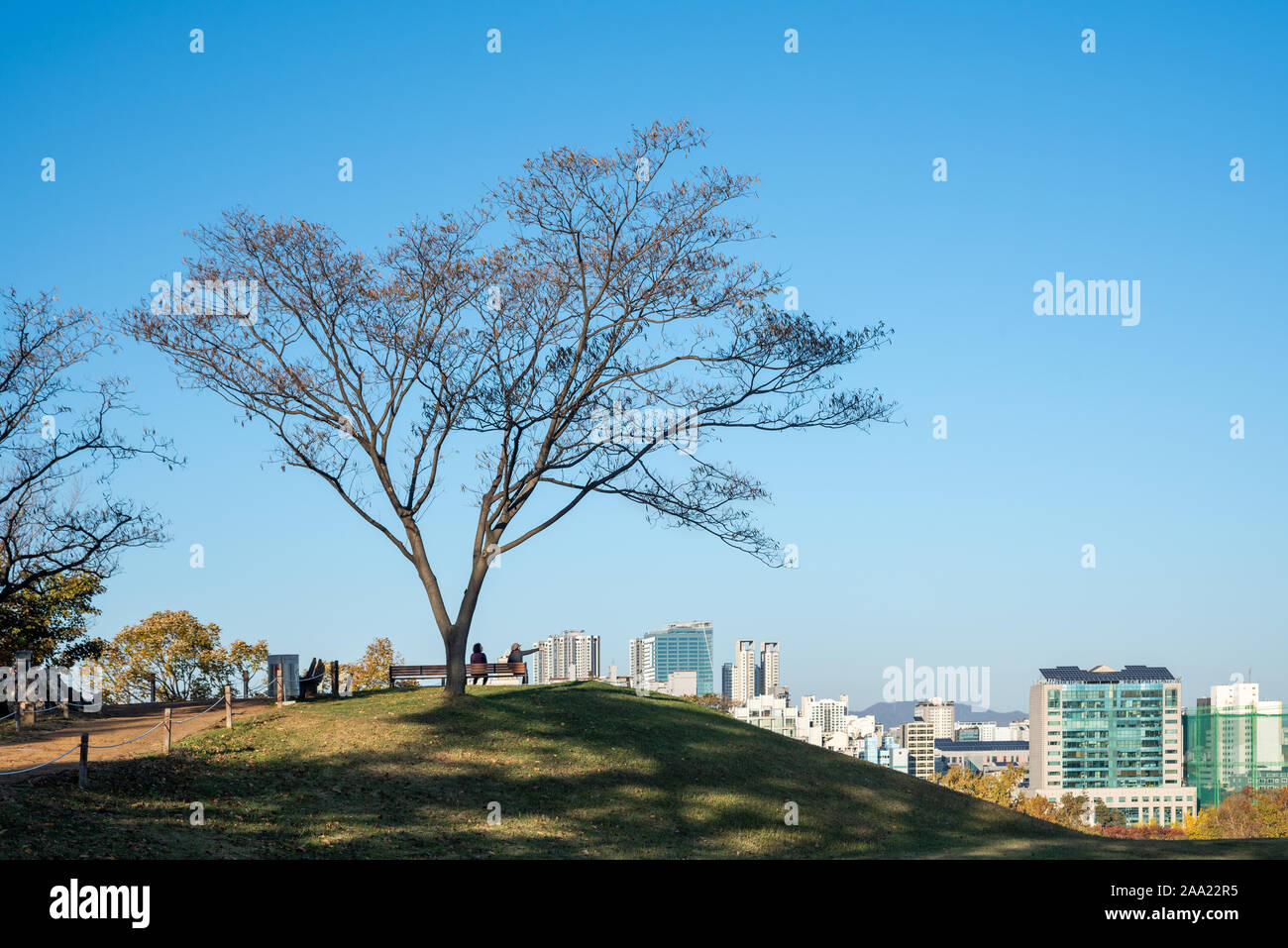 Fall leaves. Fall scenery. Seoul Olympic Park in South Korea. Stock Photo