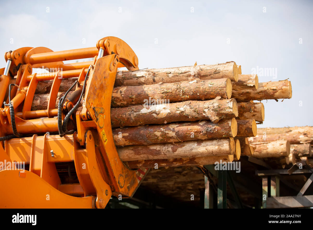 Wood processing industry. Loader with logs. Industrial wood processing ...