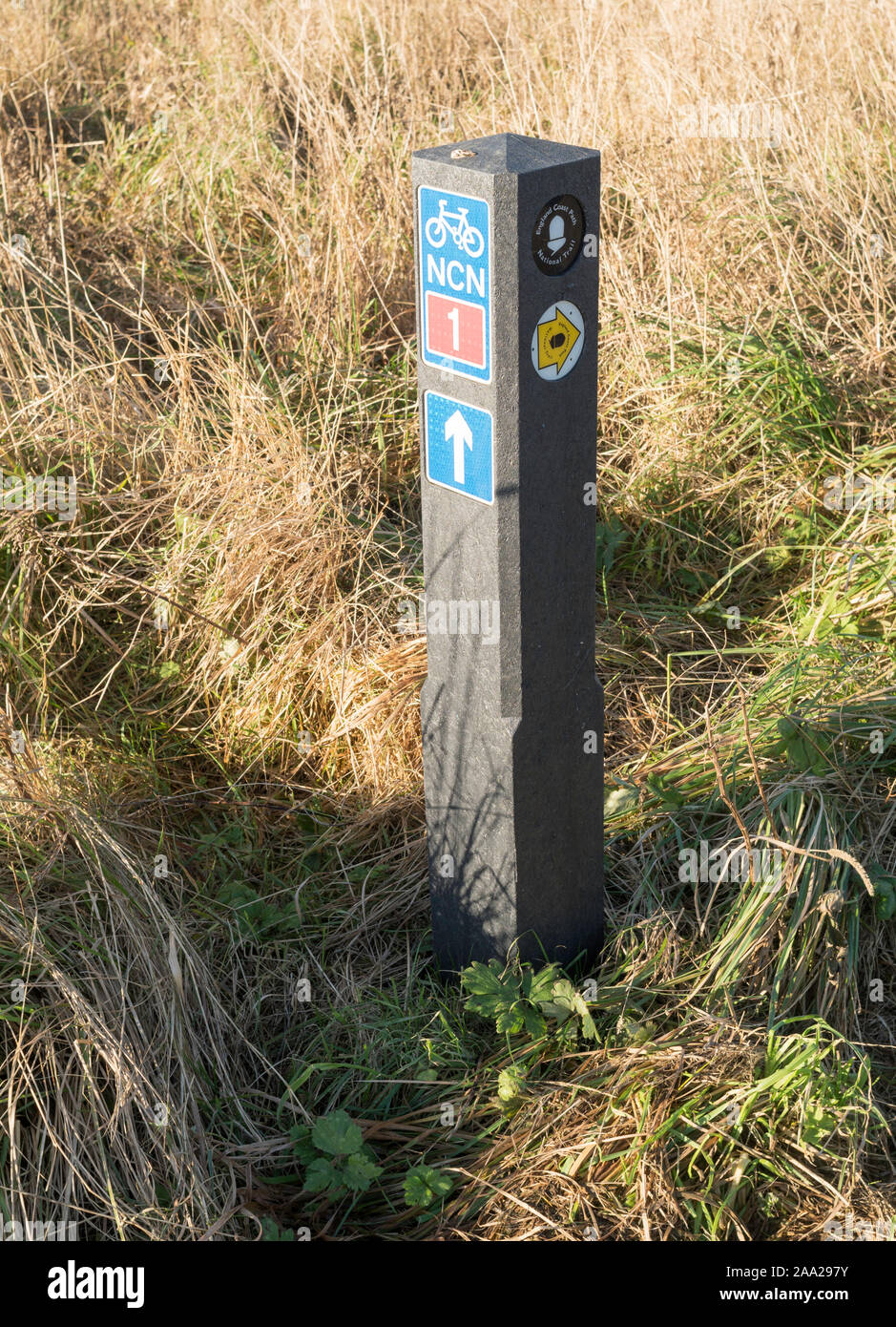 A recycled plastic way marker along the England Coast Path and National Cycle Network route 1 in  Whitley Bay, North East, England, UK Stock Photo