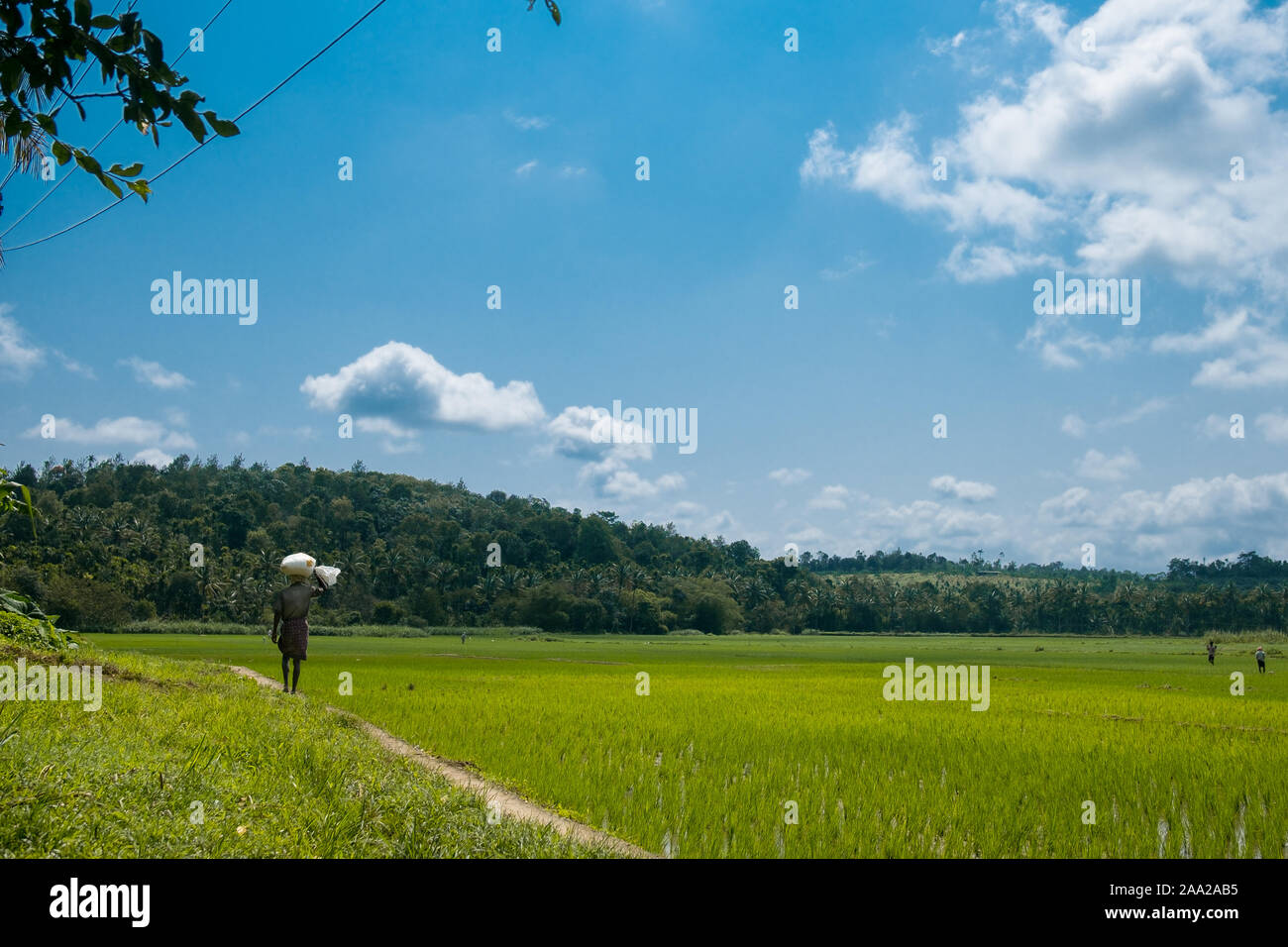 Farmer kerala hi-res stock photography and images - Alamy