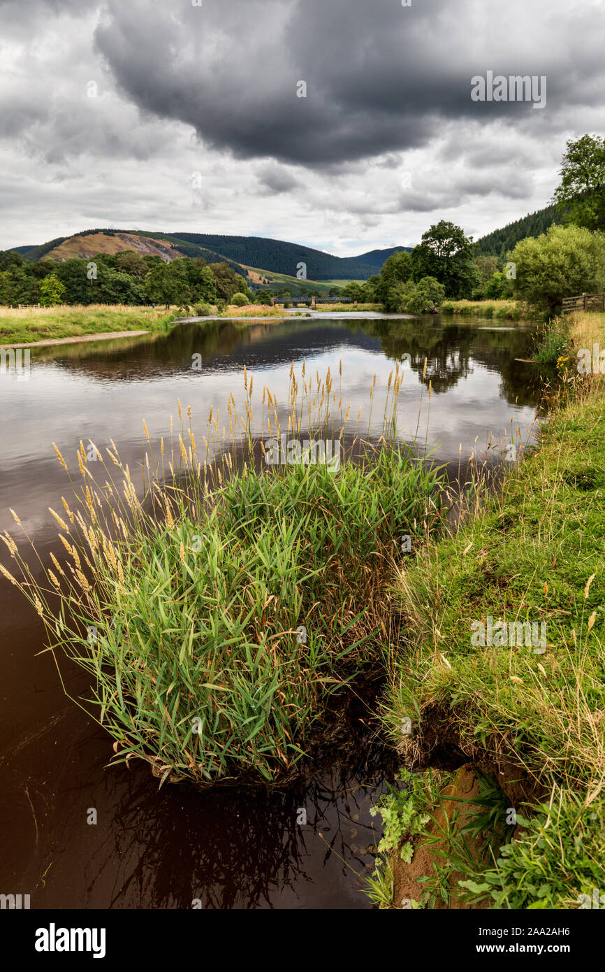 River Tweed, near Traquair House, Innerleithen, Peebles, Scottish Borders, UK. Stock Photo