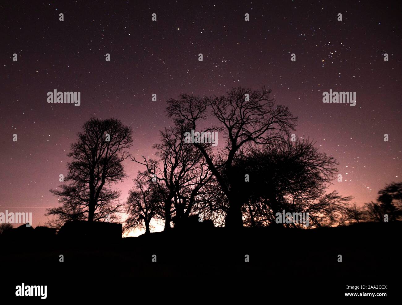 Clyde Muirshiel Park, Renfrewshire, Scotland. Crystal clear skies on one of the coldest nights of the year provide a clear view of the stars. Credit: Chris McNulty/Alamy Live News Stock Photo