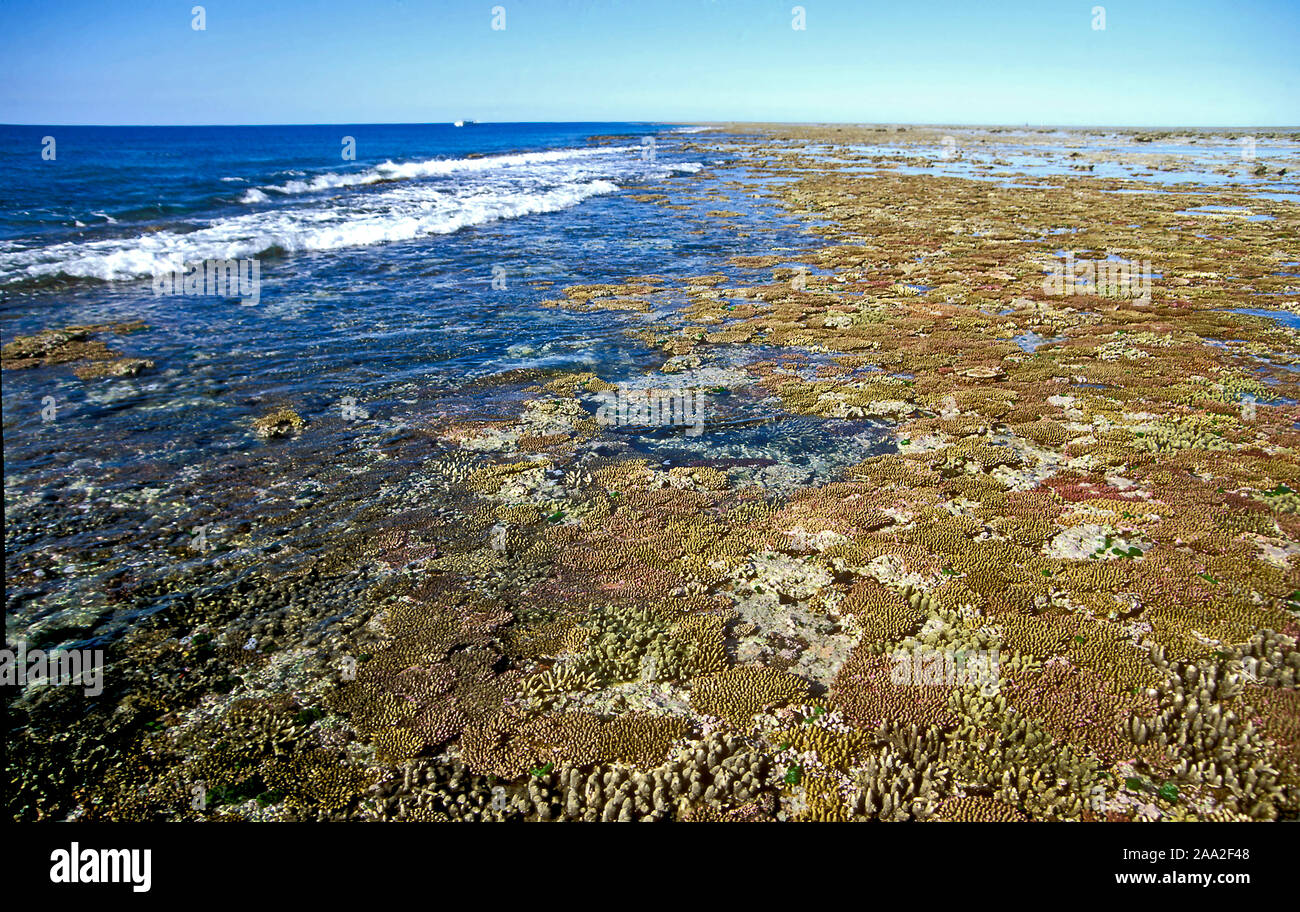 Reef flat hires stock photography and images Alamy