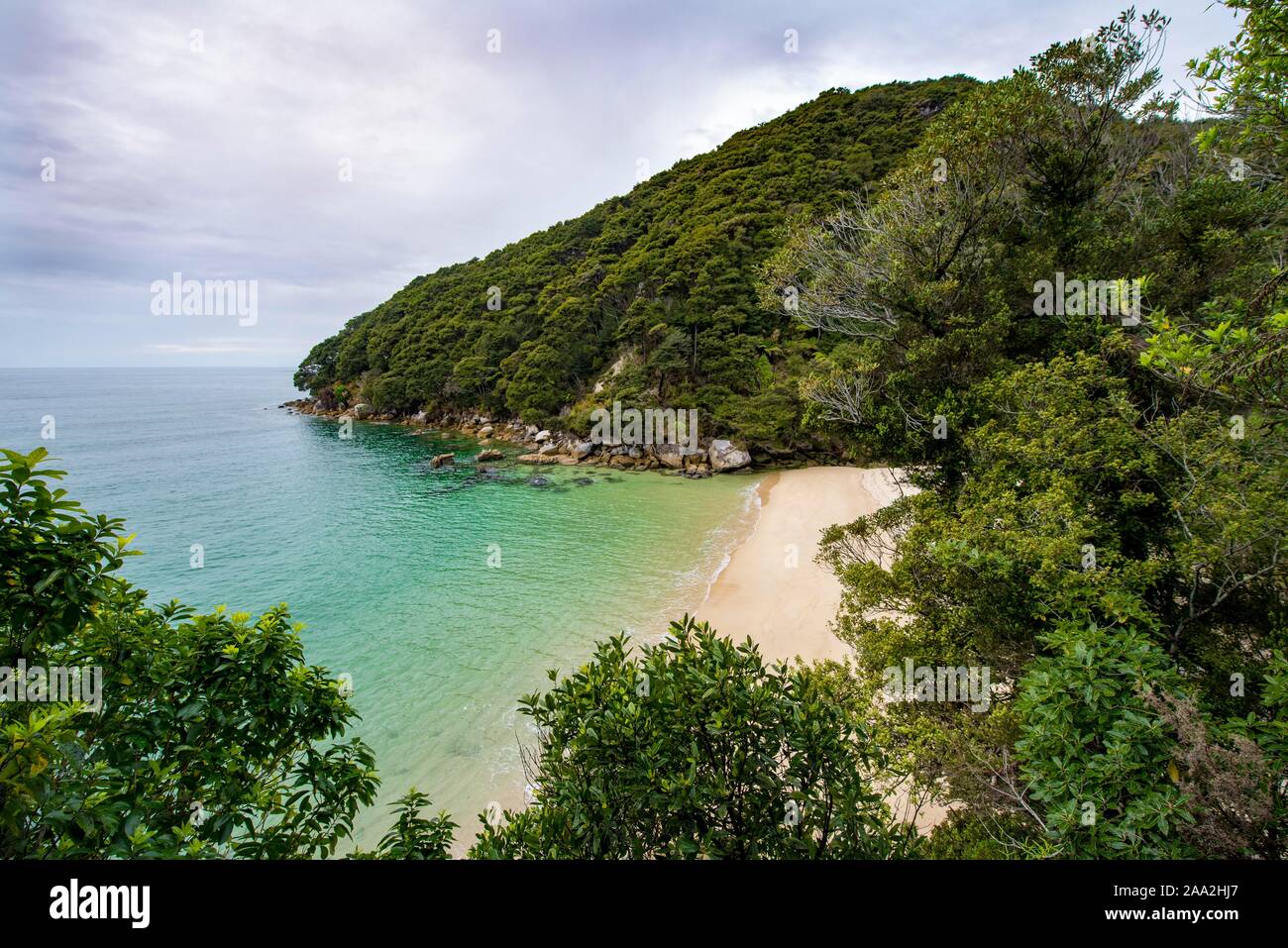 Small bay with beach, near Bark Bay, Abel Tasman National Park, Tasman, South Island, New Zealand Stock Photo