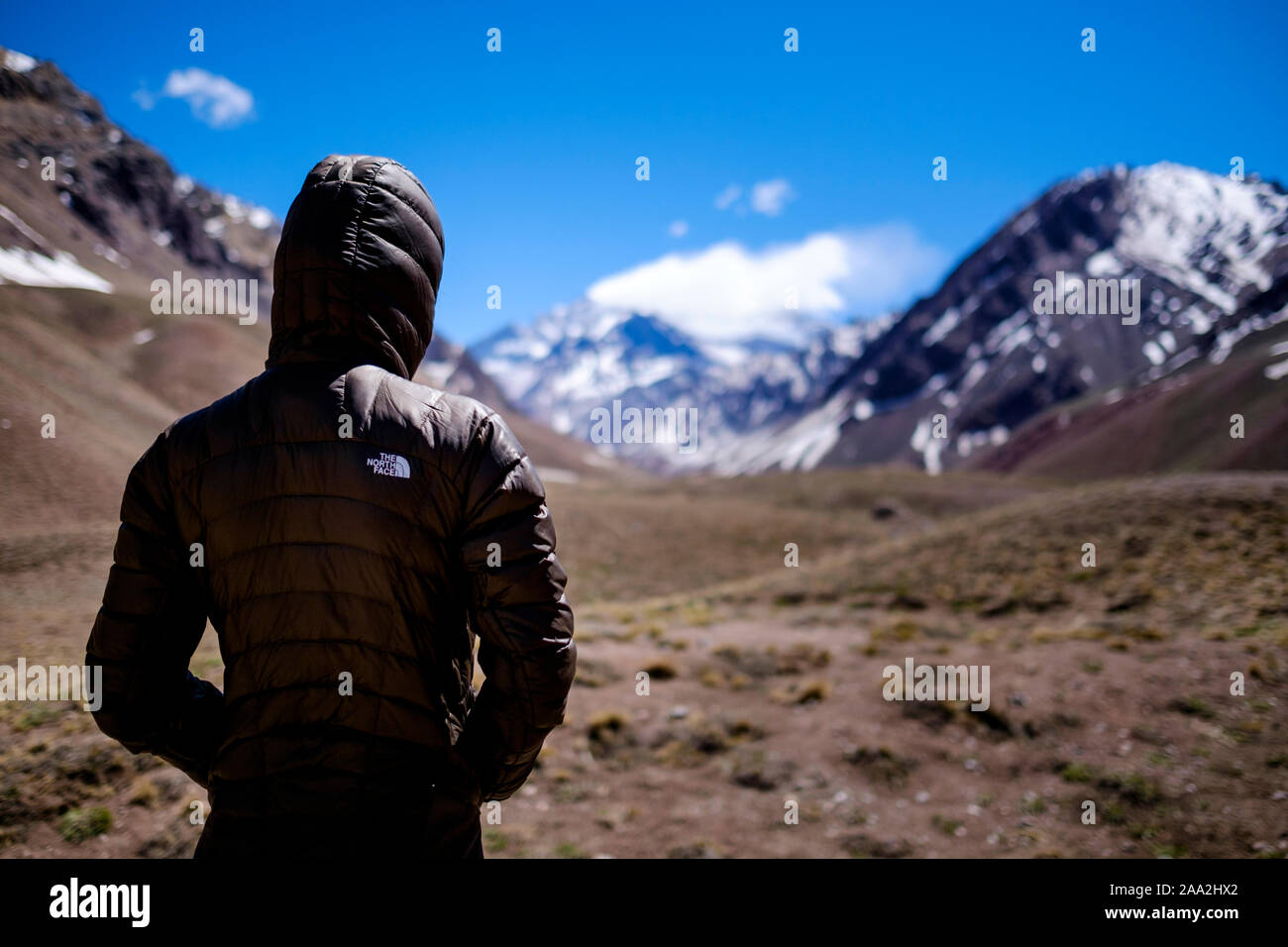 She is wearing a The North Face insulated jacket at Aconcagua Park with the Mount Aconcagua blurred in the background, Mendoza Province, Argentina Stock Photo