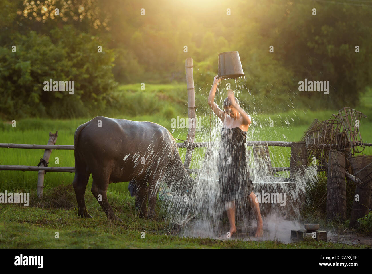 Woman standing in a field pouring a bucket of water over her head, Thailand Stock Photo