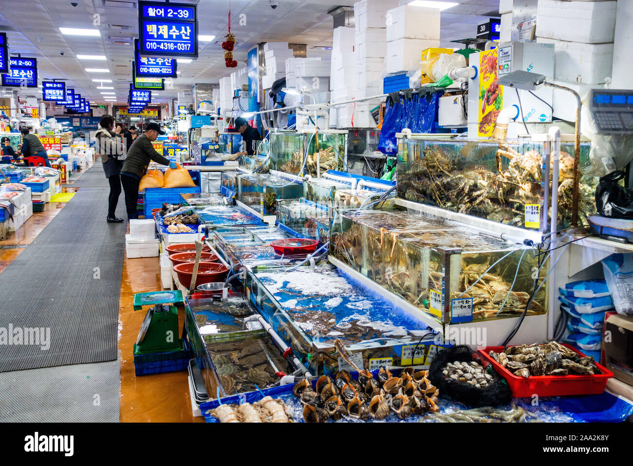 Seoul Noryangjin fish market Stock Photo Alamy