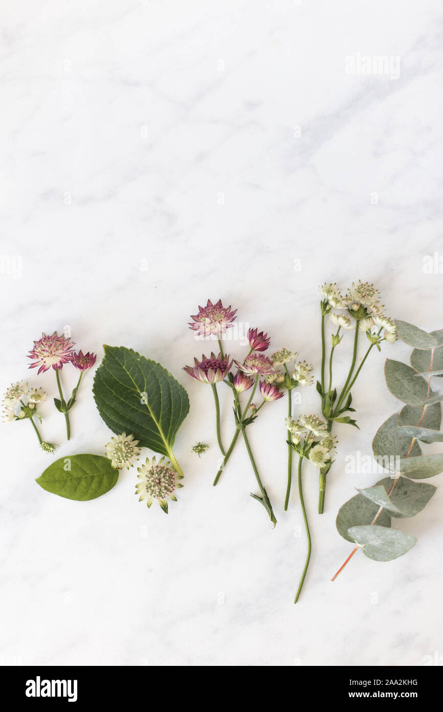 Wild flower arrangement on marble Stock Photo