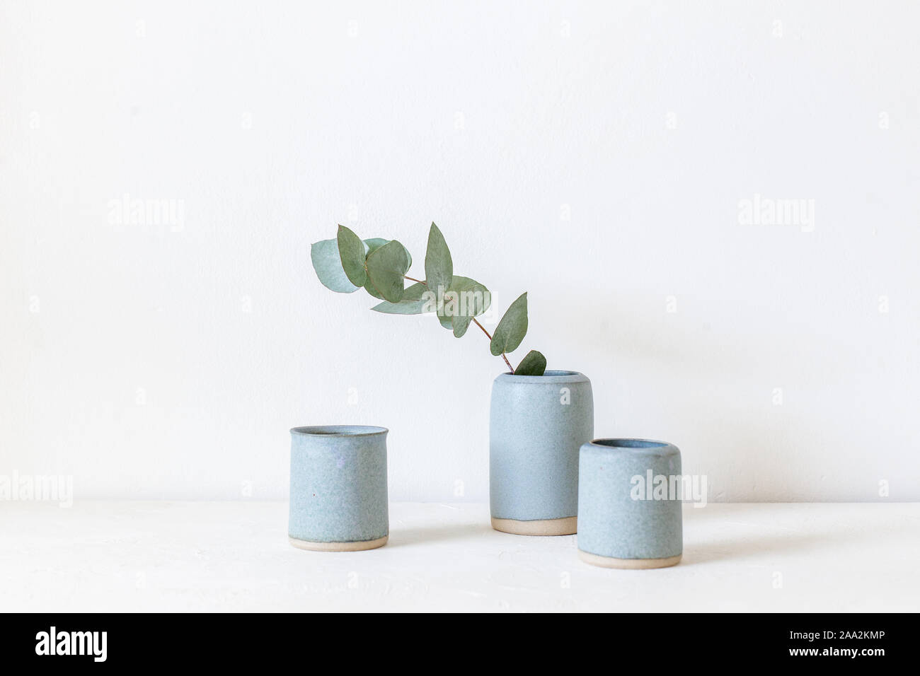 Eucalyptus in a ceramic vase Stock Photo