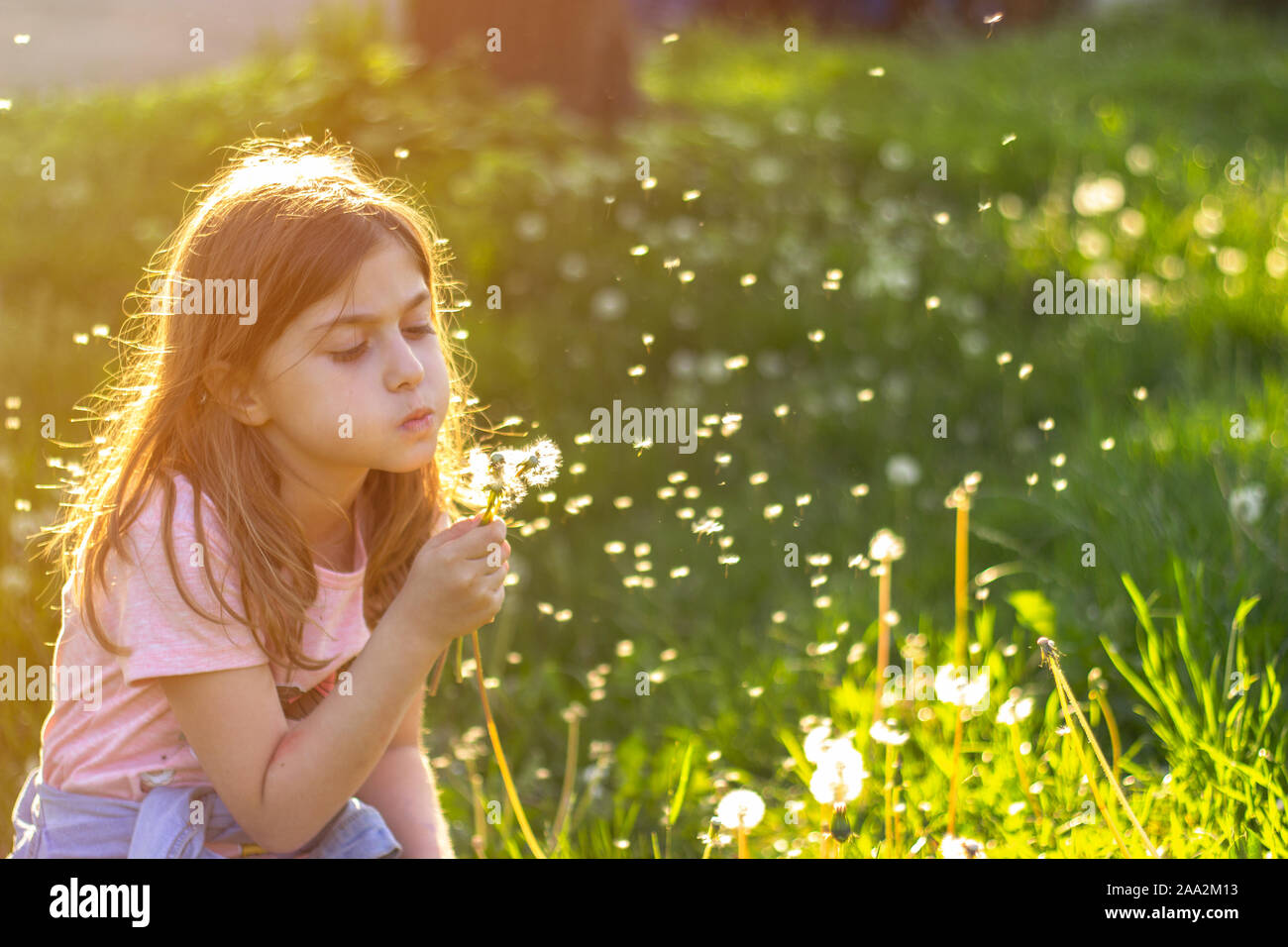 Little girl in the park on the sunny sprind day; blowing dandelion Stock Photo