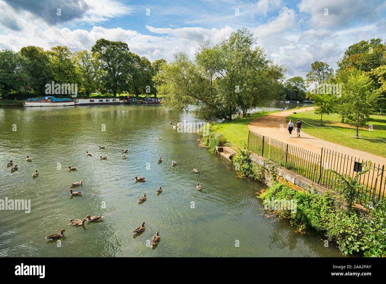 River Thames, Christ Church Meadow, Oxford University,  Oxford, Oxfordshire, England, UK Stock Photo