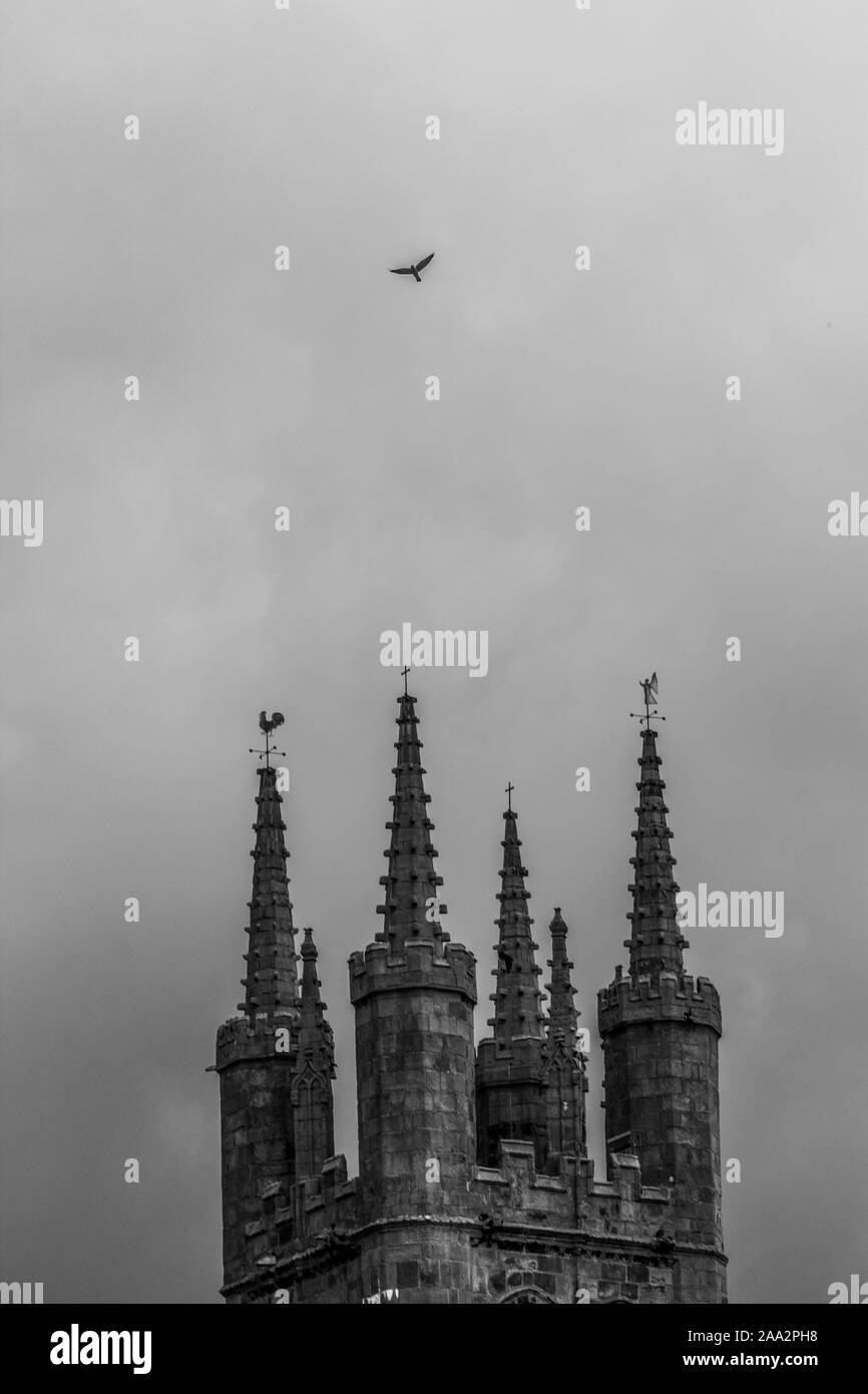 Black and White photo of a Bird flying of the tower of Tideswell church of St John the Baptist Stock Photo