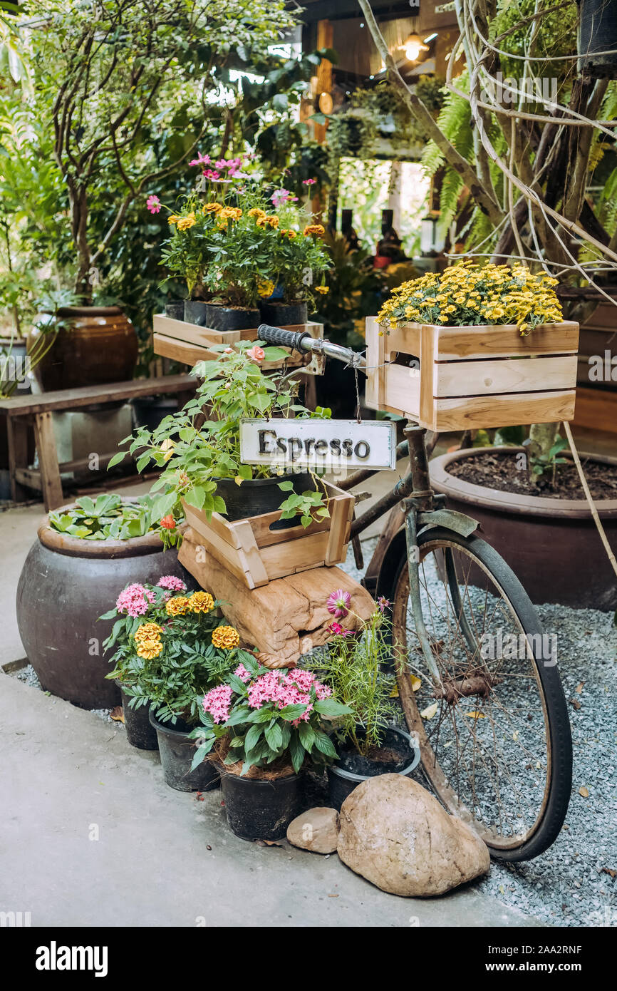 Old vintage bicycle with plants and flowers as a cafe decoration Stock Photo