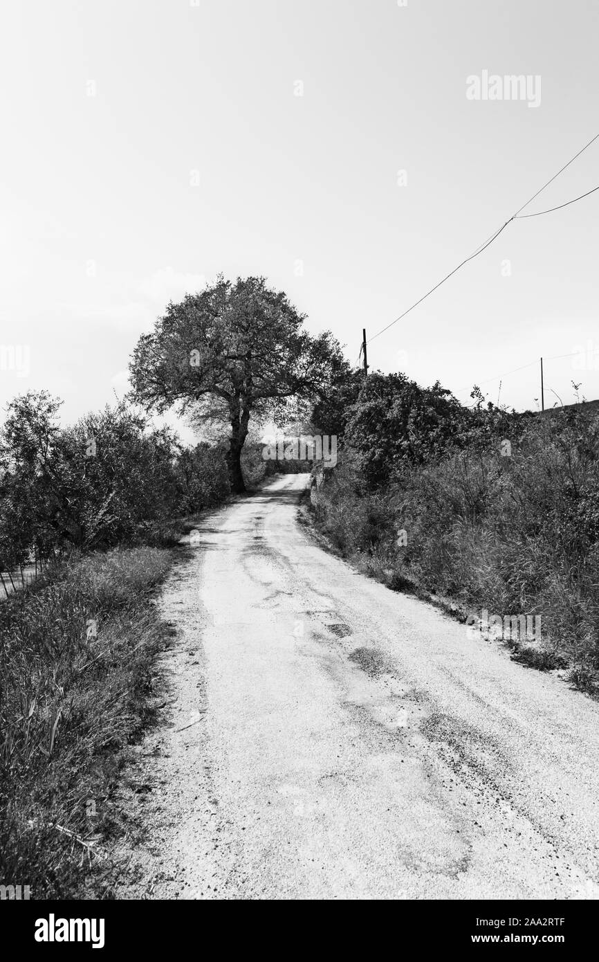 Rural landscape in black and white, dirt road and sky Stock Photo - Alamy