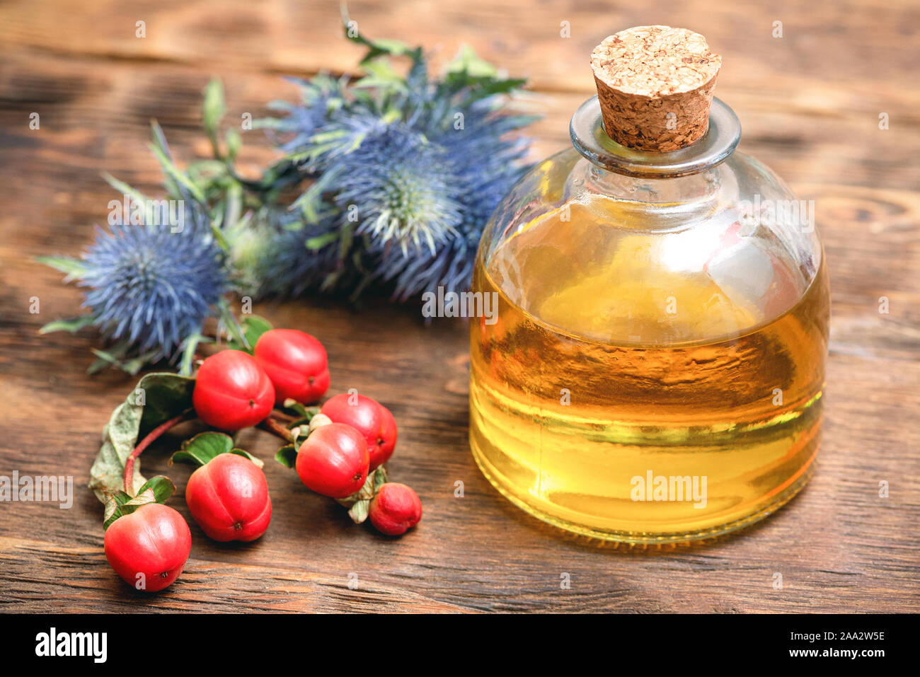 Hypericum and eryngium plant essential oil and fruits on wooden table. Herbal medicine Stock
