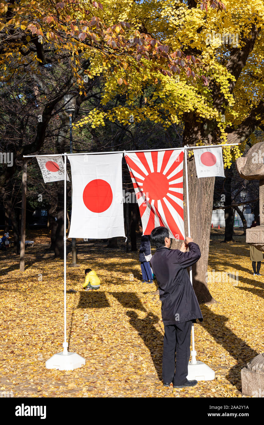 Man securing a Japanese rising sun flag next to other Japanese flags outside Yasukuni Shrine, autumn; Tokyo, Japan Stock Photo