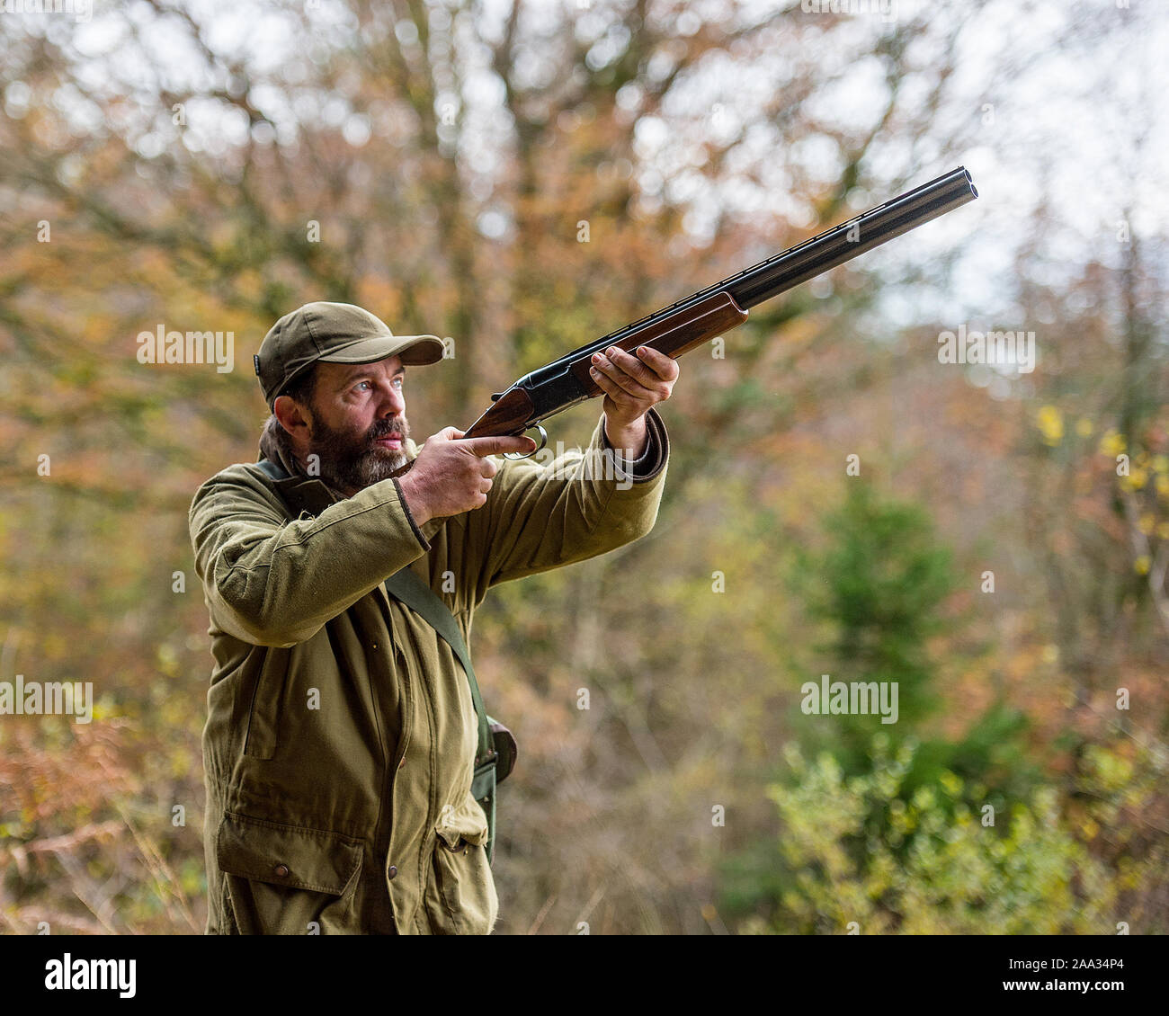 hunter shooting birds Stock Photo