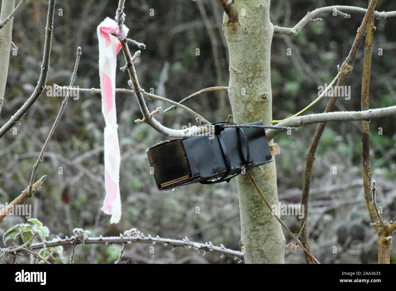 Bonehurst road hires stock photography and images Alamy