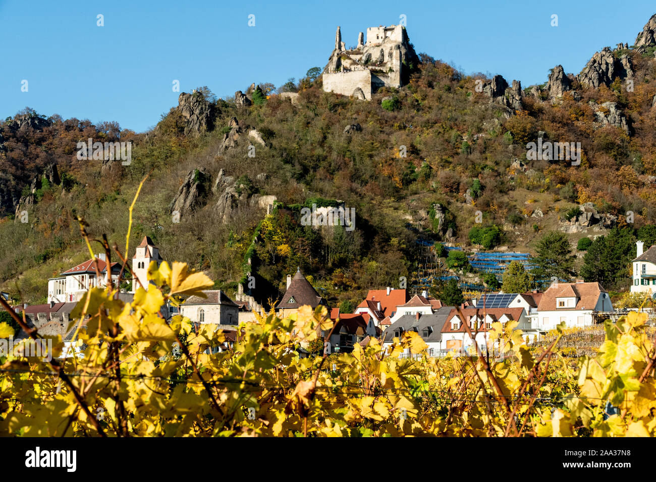 Durnstein town with the vineyard in the foreground and Durnstein castle on top of the hill Stock Photo