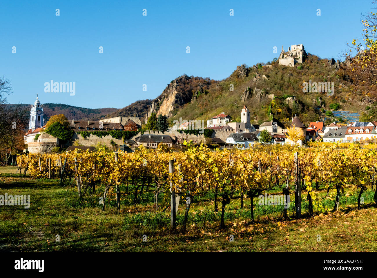 Durnstein town with the vineyard in the foreground and Durnstein castle on top of the hill Stock Photo