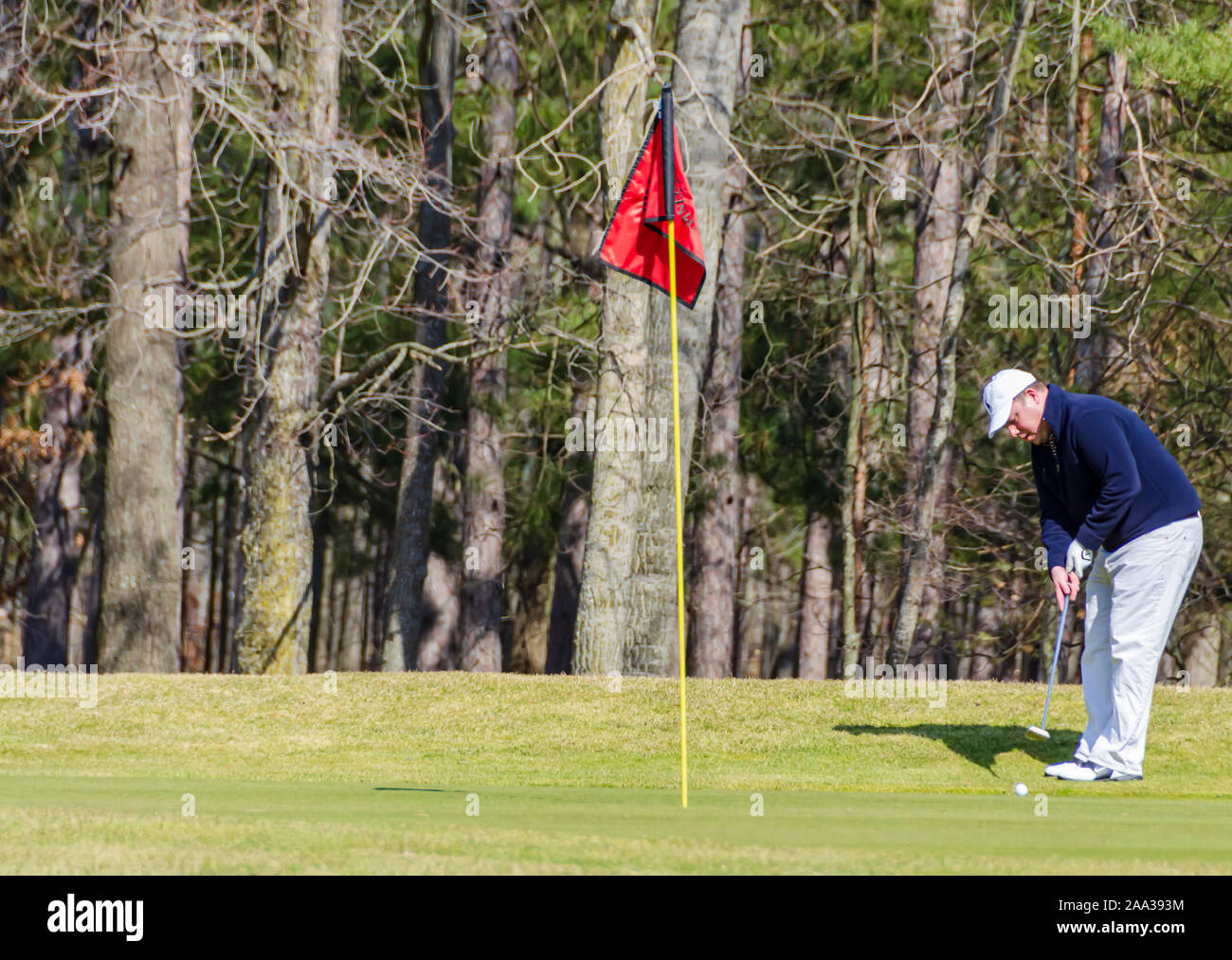 A golfer putting the golf ball. Stock Photo