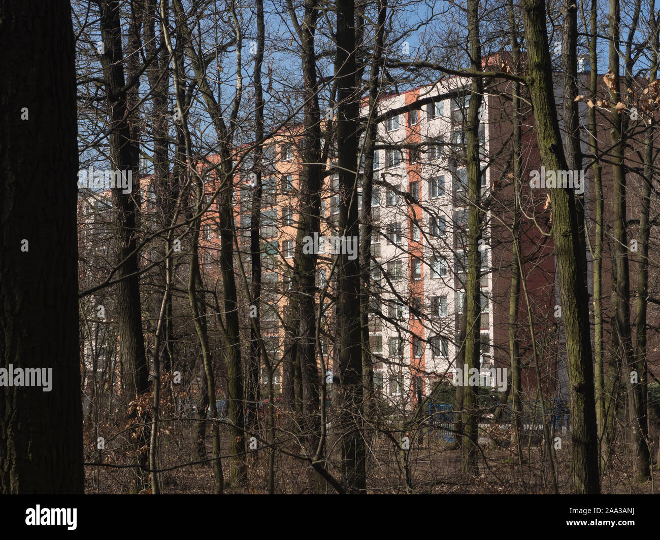 Apartment blocks through trees in the woodland Čimický grove  in the suburbs of Prague Czech Republic Stock Photo