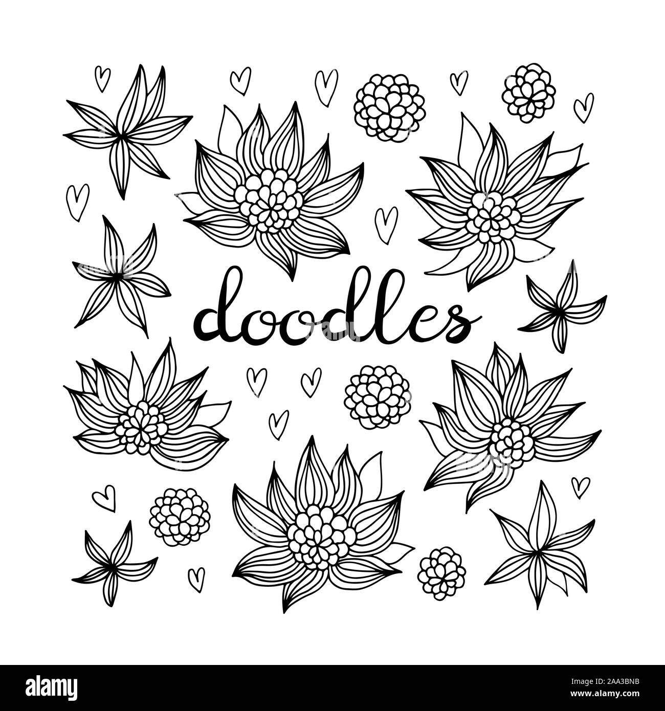 Flowers vector set, floral doodles collection isolated on white ...