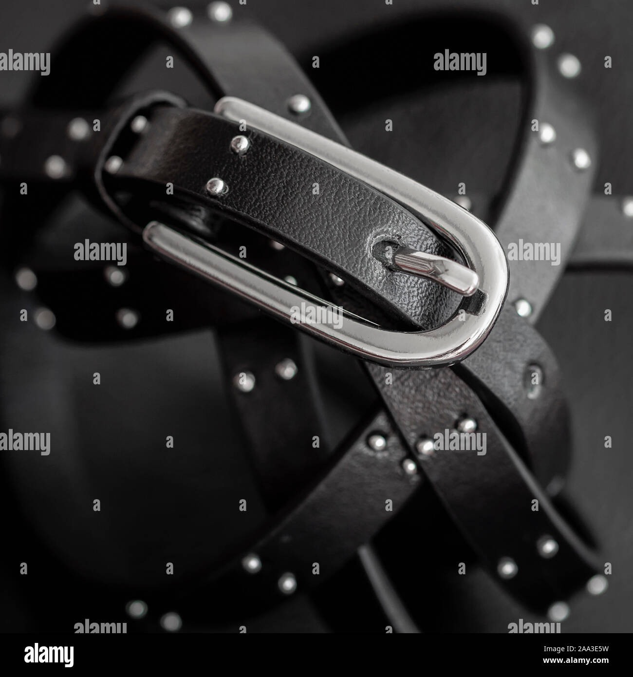 Black leather belt with decorative metal fittings on the dark color genuine leather background