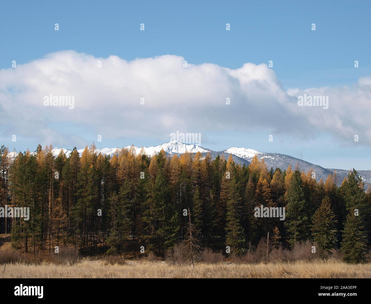 fall in the rocky mountains Stock Photo - Alamy
