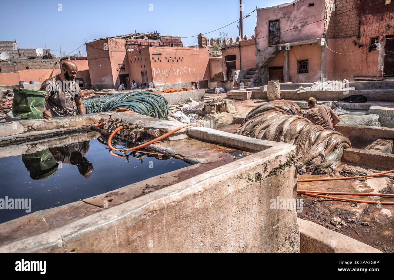 A men working in a tannery, marrakesh, Morroco Stock Photo