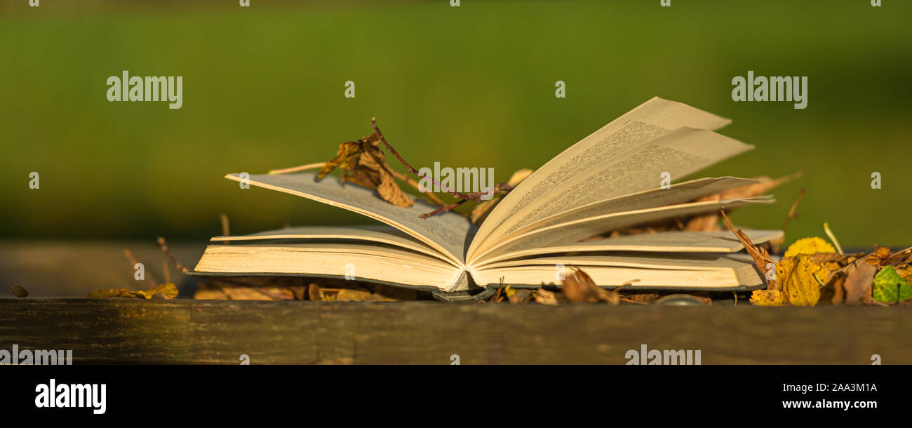 Empty book cover autumn leaves hi-res stock photography and images - Alamy