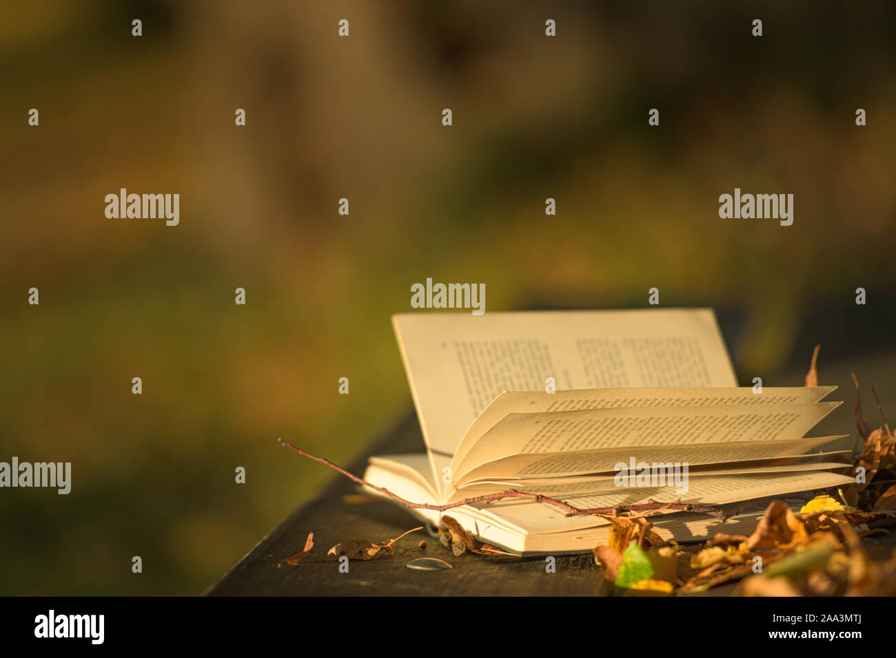 Empty book cover autumn leaves hi-res stock photography and images - Alamy