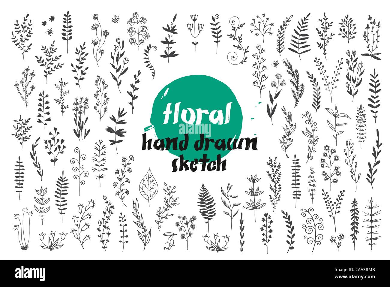 Flowers and leaves vector set, hand drawn doodle collection for ...