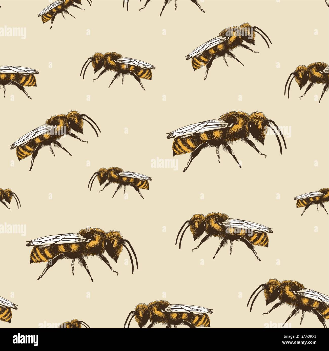 Honey bee color vector seamless pattern in engraving style on beige ...