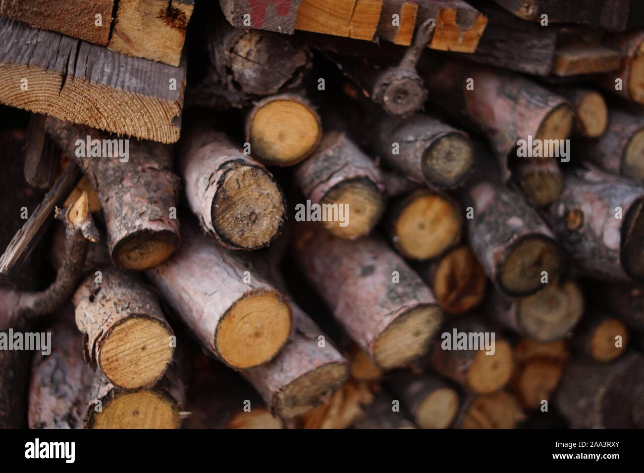 Logs of different types of wood harvested for the winter Stock Photo
