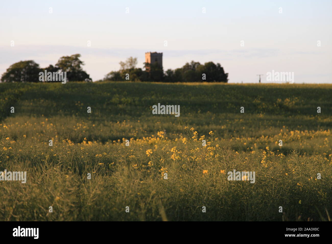 Thorngumbald Clough, Nature Reserve Stock Photo Alamy