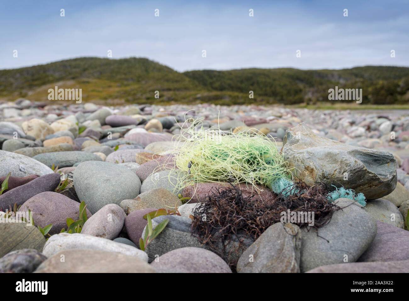 Fishing line polution on pebble beach, St Bride, Newfoundland and Labrador, Canada Stock Photo