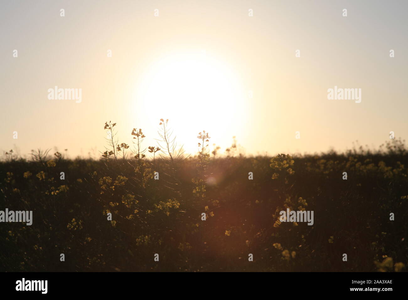 Market weighton hires stock photography and images Alamy