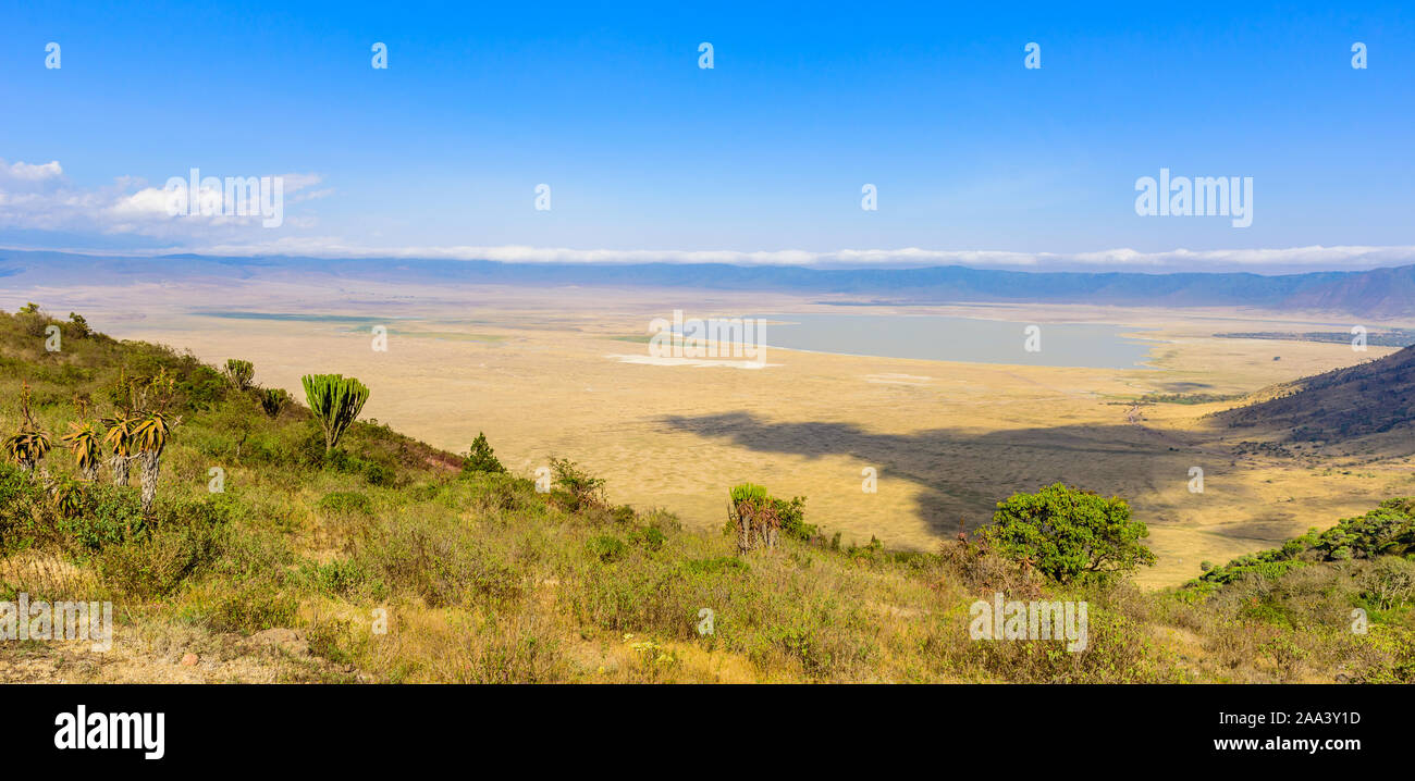 Panorama of Ngorongoro crater National Park with the Lake Magadi. Safari Tours in Savannah of Africa. Beautiful landscape scenery in Tanzania, Africa Stock Photo