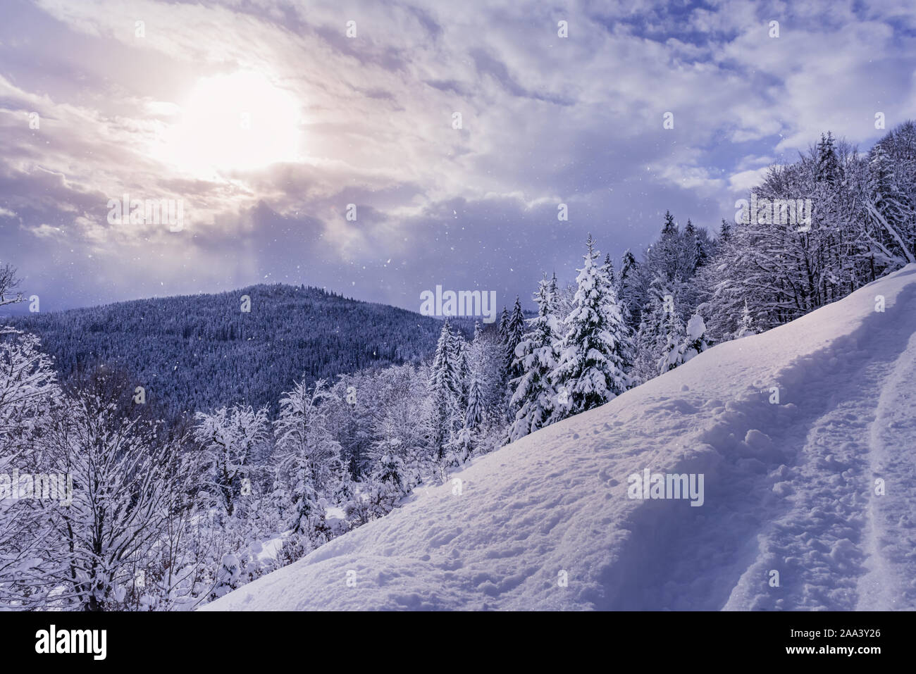 Carpathian mountains and forest under heavy snow. Footpath in the snow at foreground. Sun is shining through gap in clouds and it is snowing at the sa Stock Photo