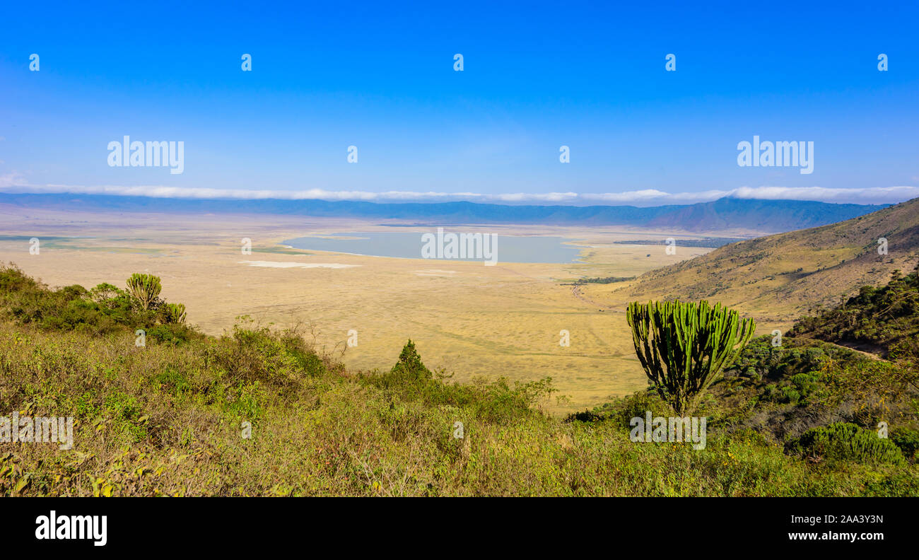 Panorama of Ngorongoro crater National Park with the Lake Magadi. Safari Tours in Savannah of Africa. Beautiful landscape scenery in Tanzania, Africa Stock Photo