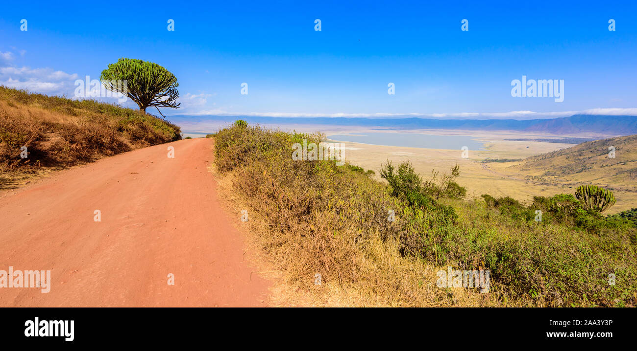 Panorama of Ngorongoro crater National Park with the Lake Magadi. Safari Tours in Savannah of Africa. Beautiful landscape scenery in Tanzania, Africa Stock Photo