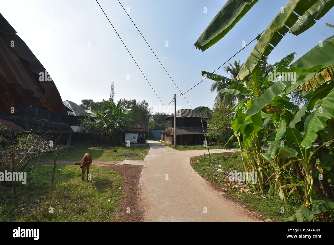 Village scene of Birsingha (birthplace of Ishwar Chandra Vidyasagar). West Midnapore, West Bengal. India. Stock Photo